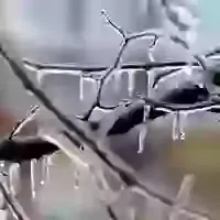 Not as it will be